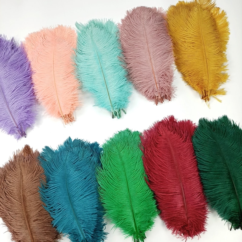 Colored Ostrich Feather Plumes (10pcs)
