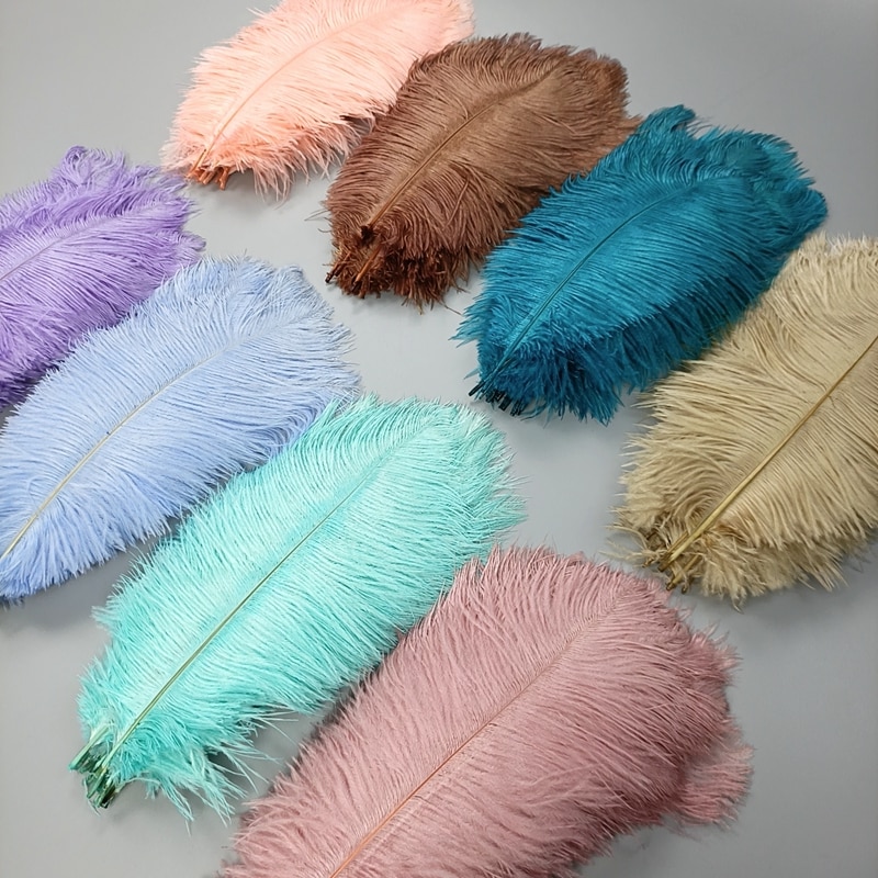 Colored Ostrich Feather Plumes (10pcs)