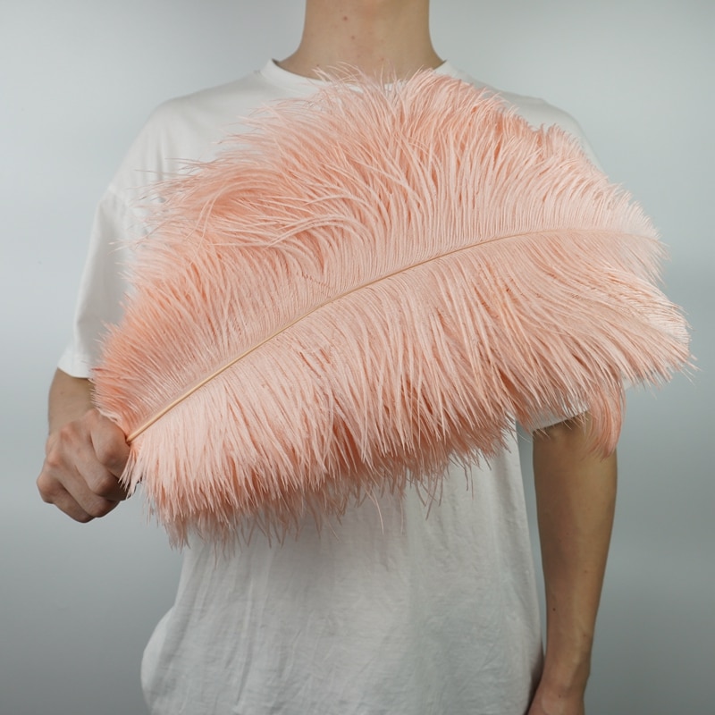 Colored Ostrich Feather Plumes (10pcs)