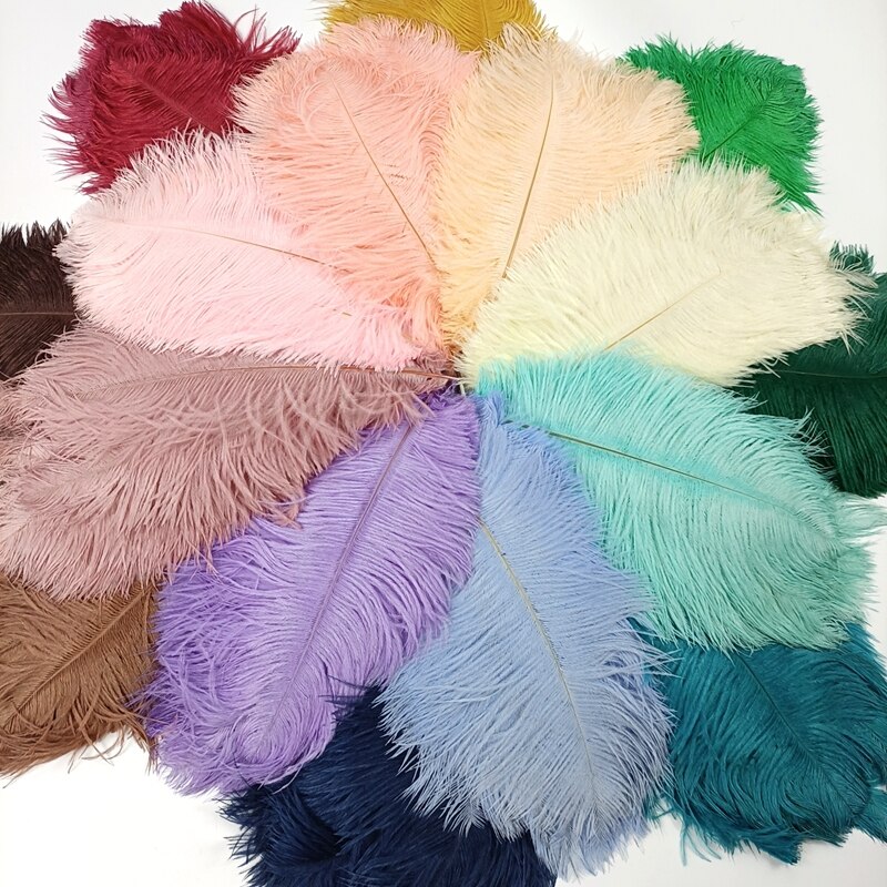 Colored Ostrich Feather Plumes (10pcs)