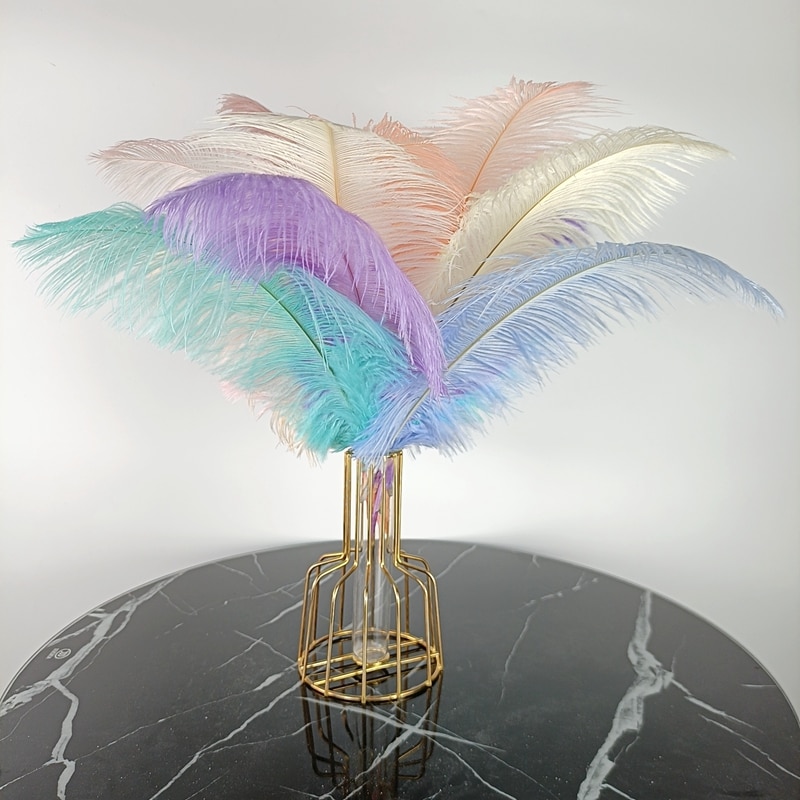 Colored Ostrich Feather Plumes (10pcs)