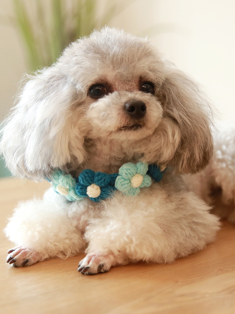 Colorful Crochet Flower Cat Collar