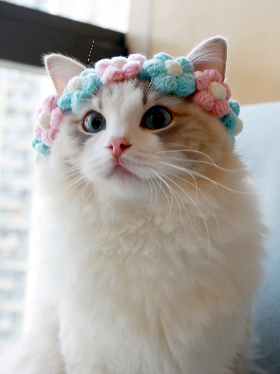 Colorful Crochet Flower Cat Collar
