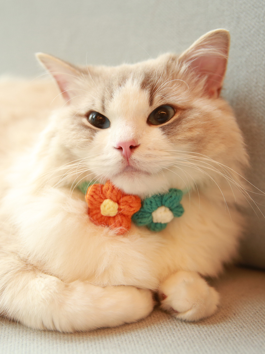 Colorful Crochet Flower Cat Collar