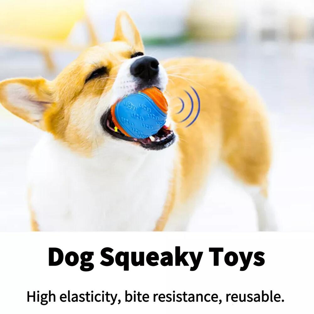 Colorful Design Squeaky Ball Dog Toy