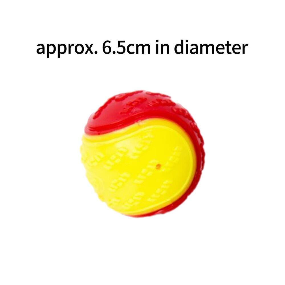 Colorful Design Squeaky Ball Dog Toy
