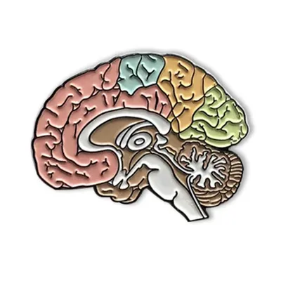 Colorful Enamel Brain Pin Colorful Enamel Brain Pin