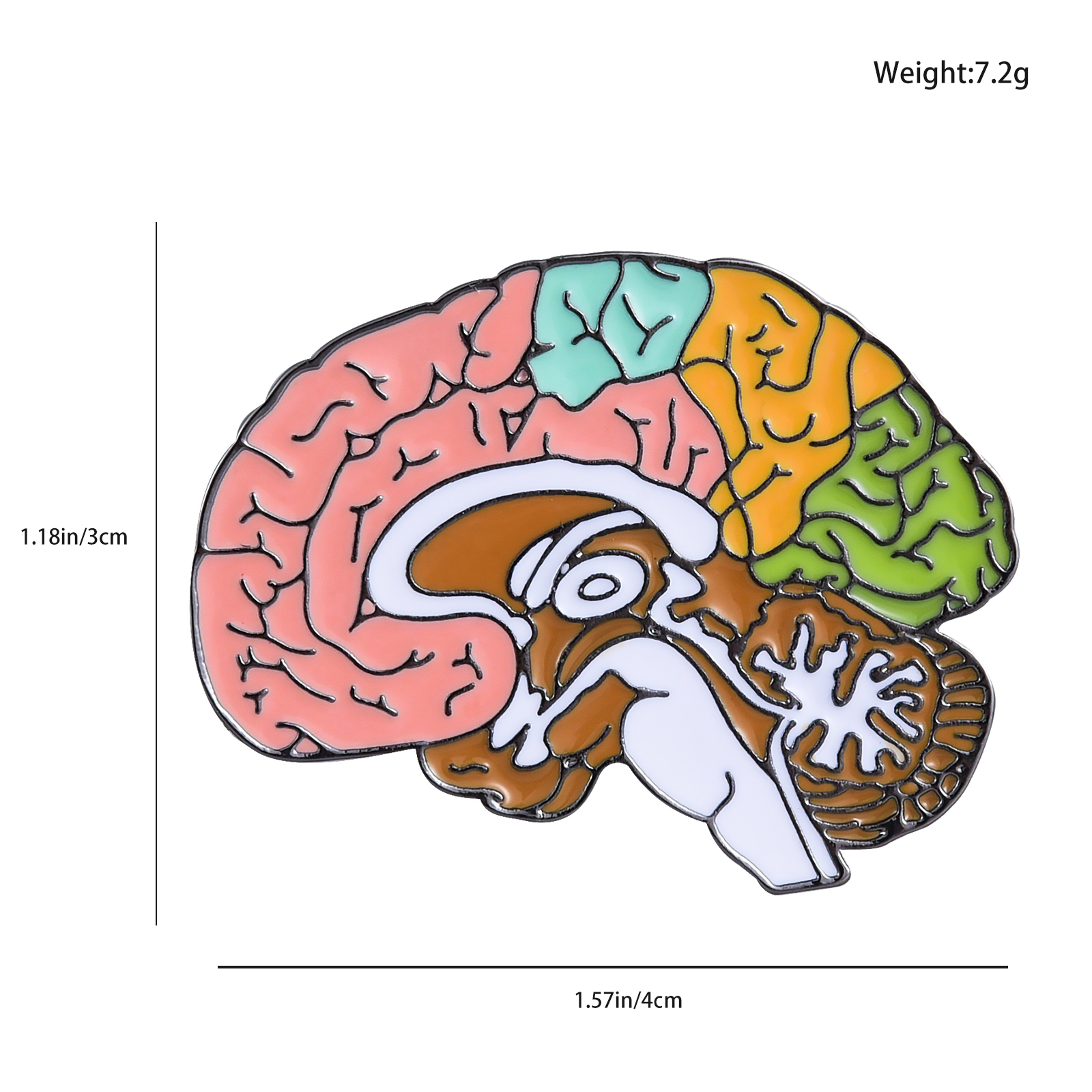 Colorful Enamel Brain Pin Colorful Enamel Brain Pin