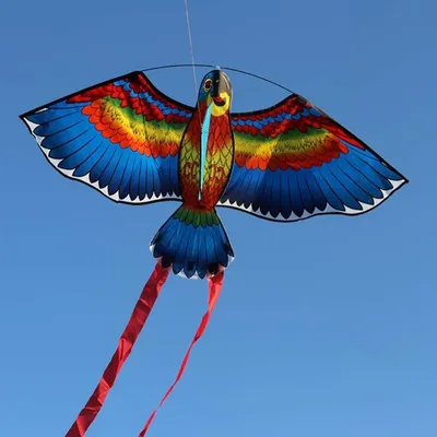 Colorful Outdoor Flying Parrot Kite Colorful Outdoor Flying Parrot Kite