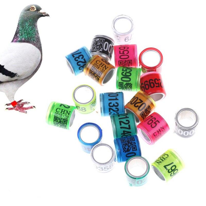 Colorful Pigeon Leg Bands (20pcs)