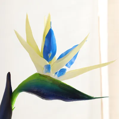 Colorful Plastic Fake Bird of Paradise Plant Colorful Plastic Fake Bird of Paradise Plant