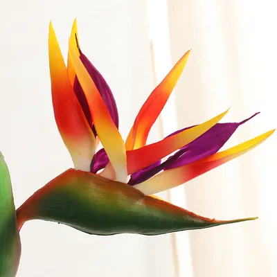 Colorful Plastic Fake Bird of Paradise Plant Colorful Plastic Fake Bird of Paradise Plant