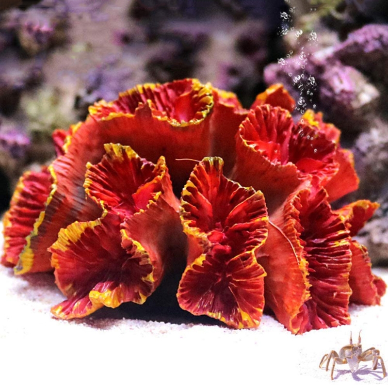 Colorful Resin Artificial Coral for Aquarium