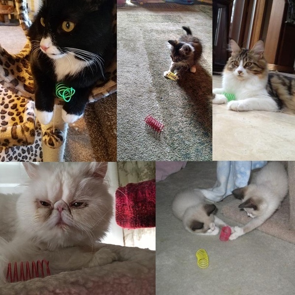 Colorful Spring Toys for Cats (20 pcs)