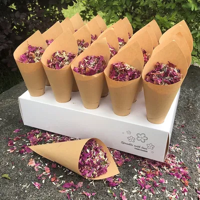 Confetti Cones 20PCS with Tray Confetti Cones 20PCS with Tray