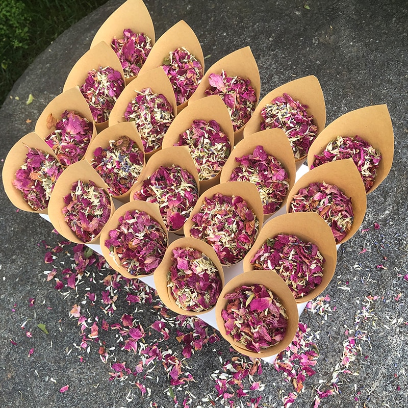 Confetti Cones 20PCS with Tray Confetti Cones 20PCS with Tray