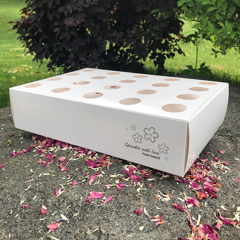 Confetti Cones 20PCS with Tray Confetti Cones 20PCS with Tray