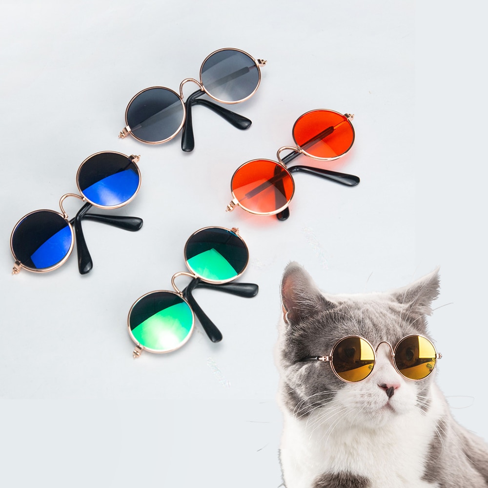 Cool Cat Sunglasses Pet Accessory