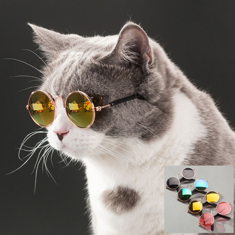 Cool Cat Sunglasses Pet Accessory Cool Cat Sunglasses Pet Accessory