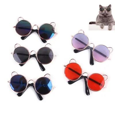 Cool Polarized Cat Sunglasses Cool Polarized Cat Sunglasses