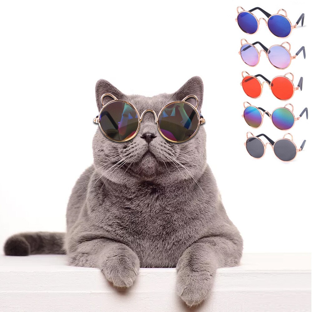 Cool Polarized Cat Sunglasses Cool Polarized Cat Sunglasses