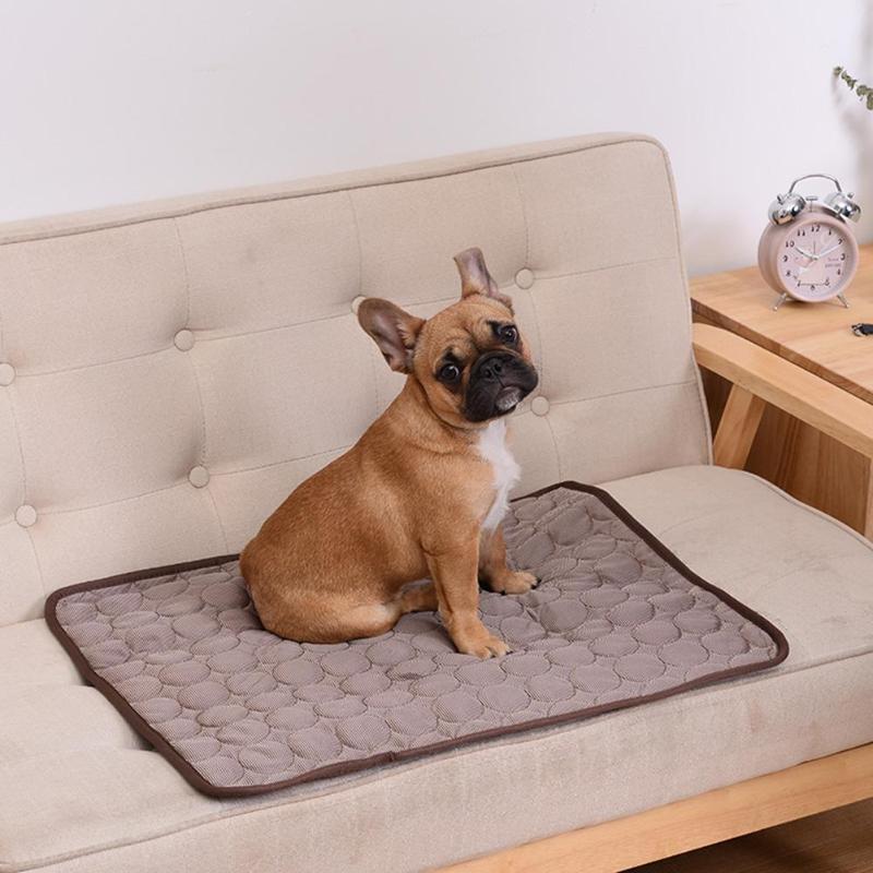 Cooling Dog Mat Summer Pet Bed Cooling Dog Mat Summer Pet Bed