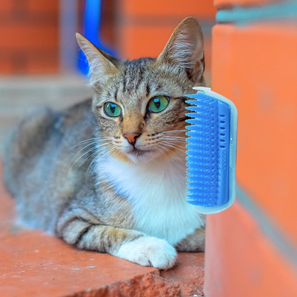 Corner Brush Pet Self Groomer Corner Brush Pet Self Groomer