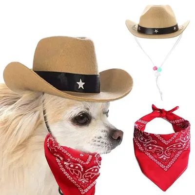 Cowboy Hat for Dogs with Scarf