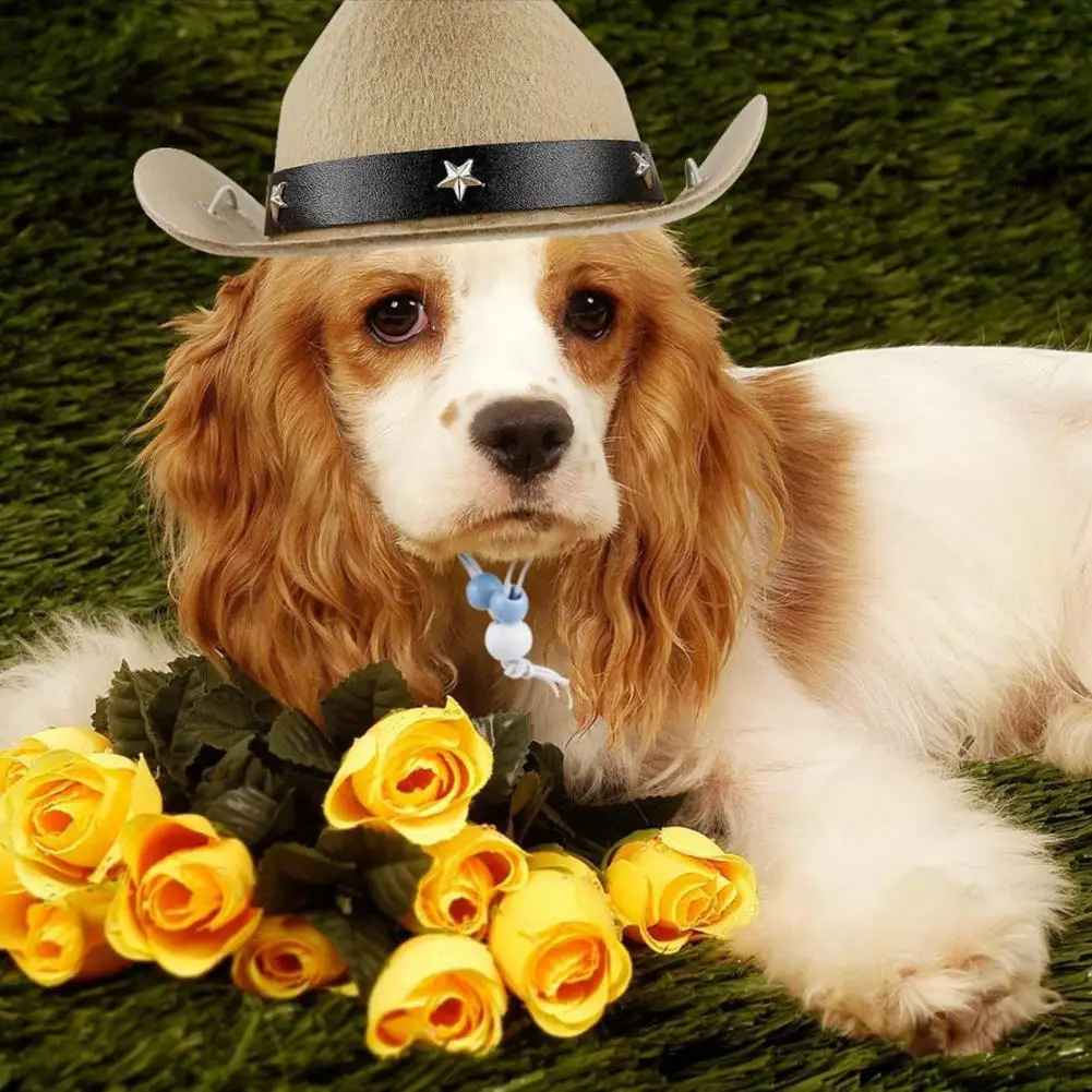Cowboy Hat for Dogs with Scarf