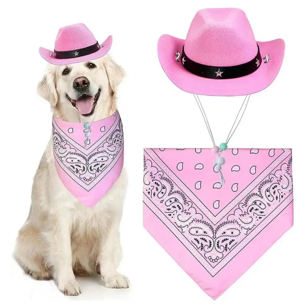 Cowboy Hat for Dogs with Scarf