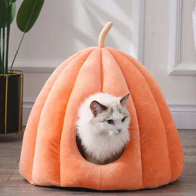 Cozy Kitty Cave Cat Pumpkin Bed Cozy Kitty Cave Cat Pumpkin Bed