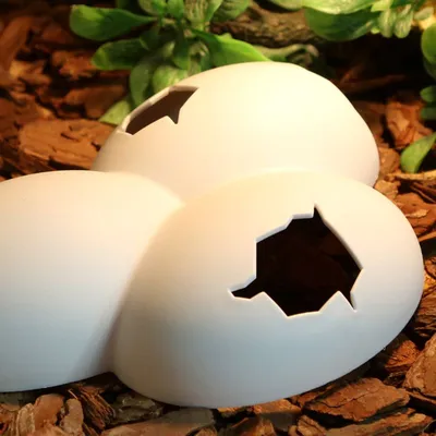 Cracked Eggs Reptile Hide Cracked Eggs Reptile Hide