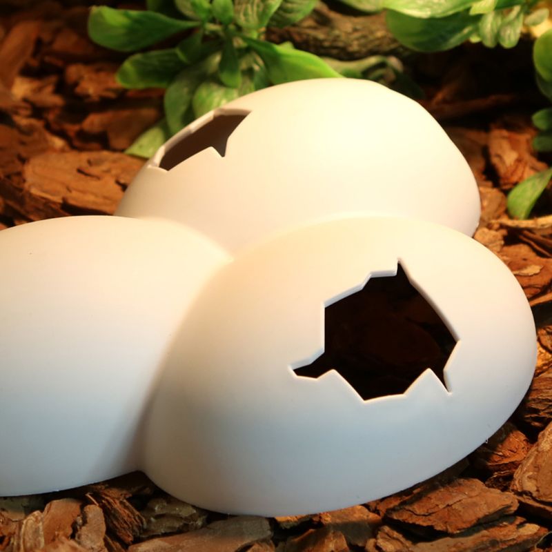 Cracked Eggs Reptile Hide Cracked Eggs Reptile Hide