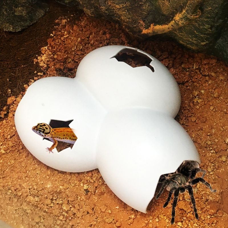 Cracked Eggs Reptile Hide Cracked Eggs Reptile Hide