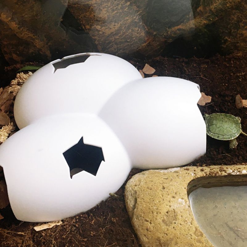 Cracked Eggs Reptile Hide Cracked Eggs Reptile Hide