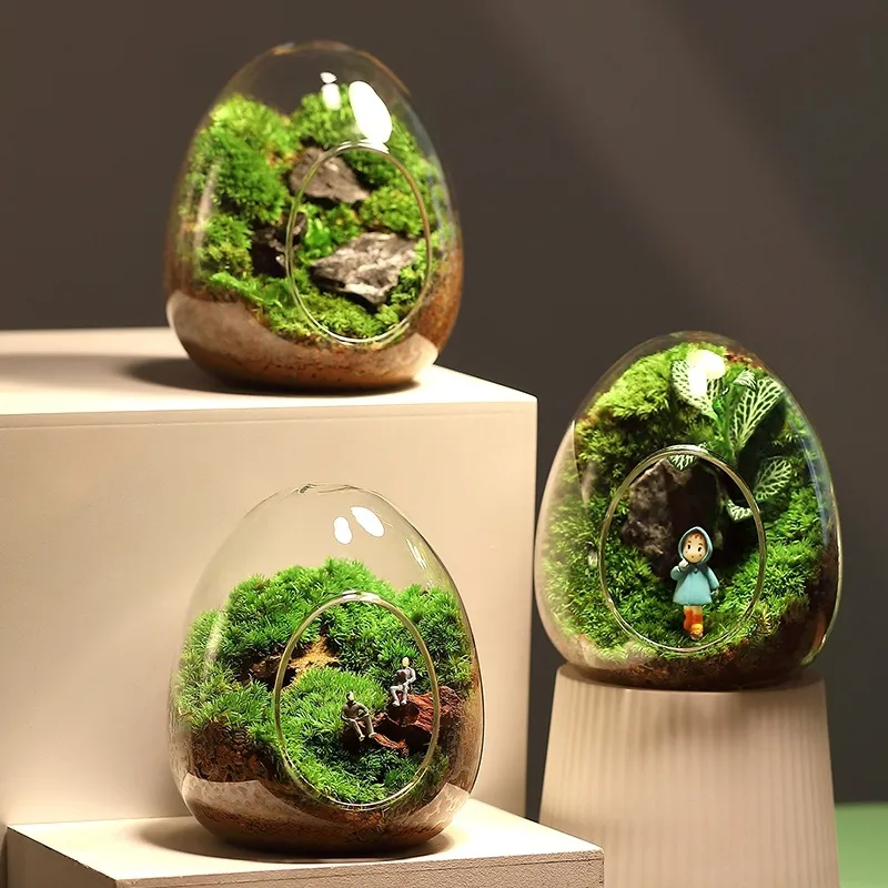 Creative Egg-shaped Glass Bottles Succulent Glass Vase Hydroponic Fleshy Micro Landscape Glass Terrarium Moss Home