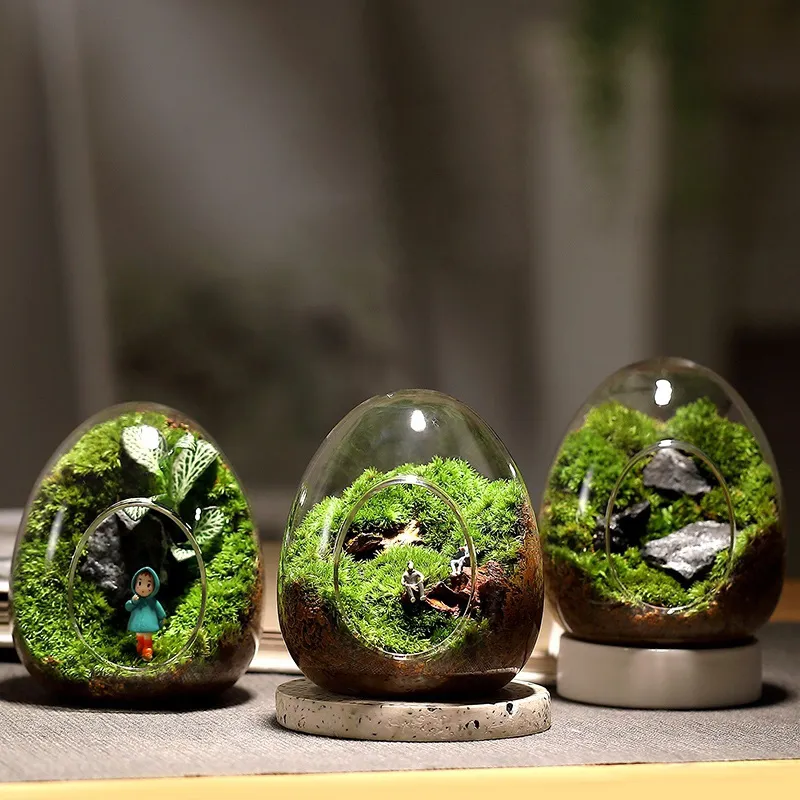 Creative Egg-shaped Glass Bottles Succulent Glass Vase Hydroponic Fleshy Micro Landscape Glass Terrarium Moss Home Creative Egg-shaped Glass Bottles Succulent Glass Vase Hydroponic Fleshy Micro Landscape Glass Terrarium Moss Home