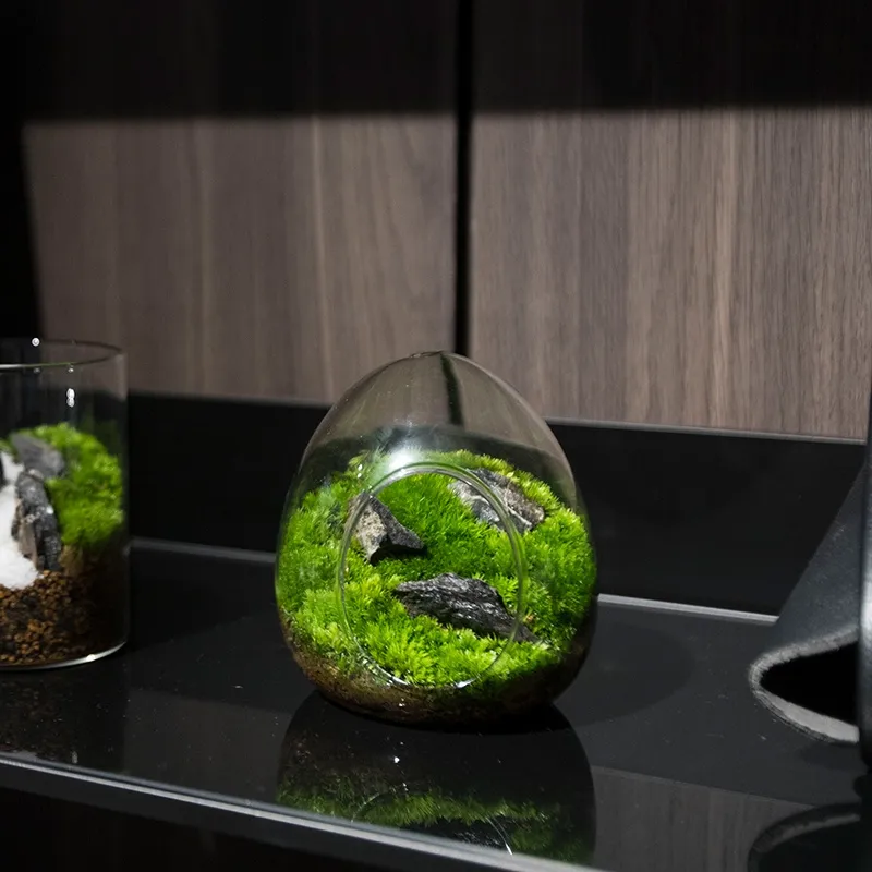 Creative Egg-shaped Glass Bottles Succulent Glass Vase Hydroponic Fleshy Micro Landscape Glass Terrarium Moss Home Creative Egg-shaped Glass Bottles Succulent Glass Vase Hydroponic Fleshy Micro Landscape Glass Terrarium Moss Home