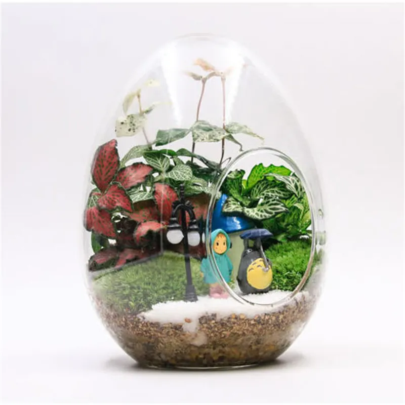 Creative Egg-shaped Glass Bottles Succulent Glass Vase Hydroponic Fleshy Micro Landscape Glass Terrarium Moss Home Creative Egg-shaped Glass Bottles Succulent Glass Vase Hydroponic Fleshy Micro Landscape Glass Terrarium Moss Home