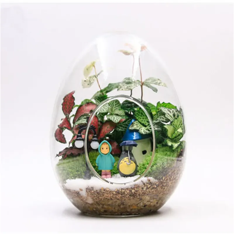 Creative Egg-shaped Glass Bottles Succulent Glass Vase Hydroponic Fleshy Micro Landscape Glass Terrarium Moss Home Creative Egg-shaped Glass Bottles Succulent Glass Vase Hydroponic Fleshy Micro Landscape Glass Terrarium Moss Home
