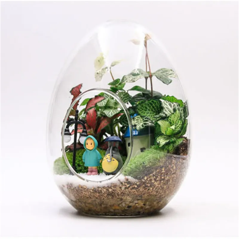 Creative Egg-shaped Glass Bottles Succulent Glass Vase Hydroponic Fleshy Micro Landscape Glass Terrarium Moss Home Creative Egg-shaped Glass Bottles Succulent Glass Vase Hydroponic Fleshy Micro Landscape Glass Terrarium Moss Home