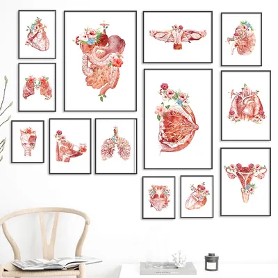 Creative Human Anatomy Wall Art Creative Human Anatomy Wall Art