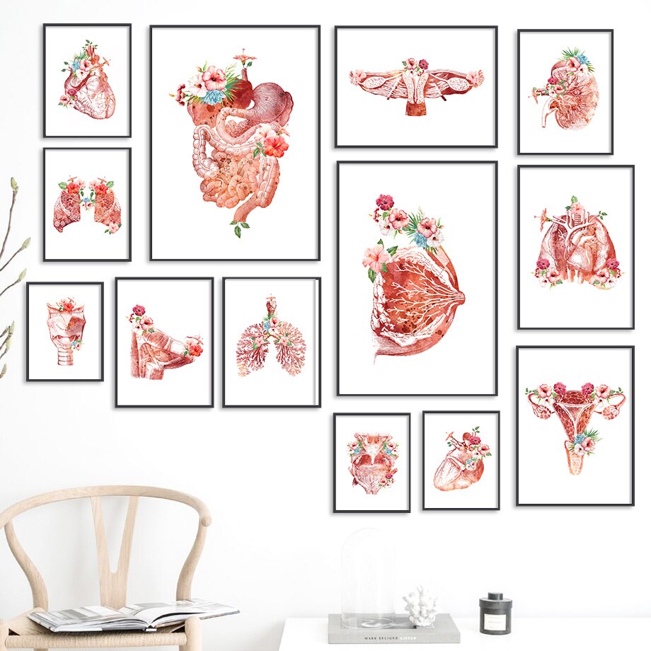 Creative Human Anatomy Wall Art