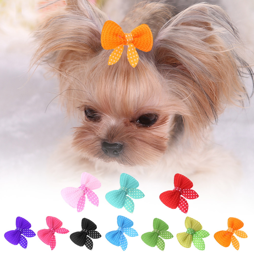 Cute Bow Hair Clips for Dogs (10Pcs.) Cute Bow Hair Clips for Dogs (10Pcs.)