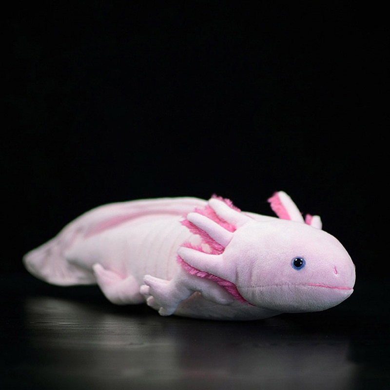 Cute Cartoon Axolotl Plush Toy