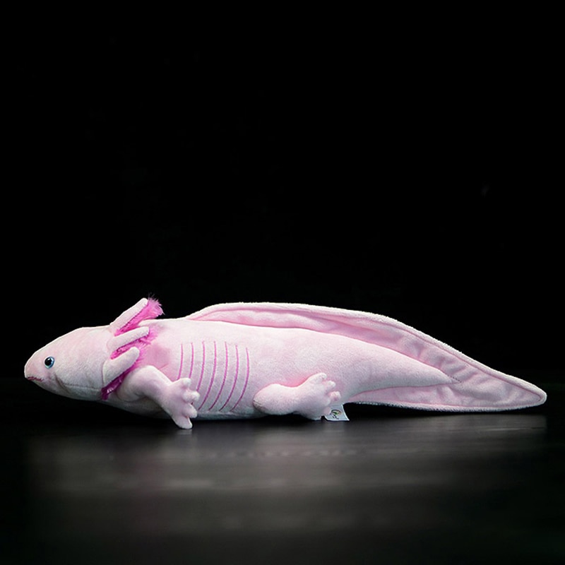 Cute Cartoon Axolotl Plush Toy