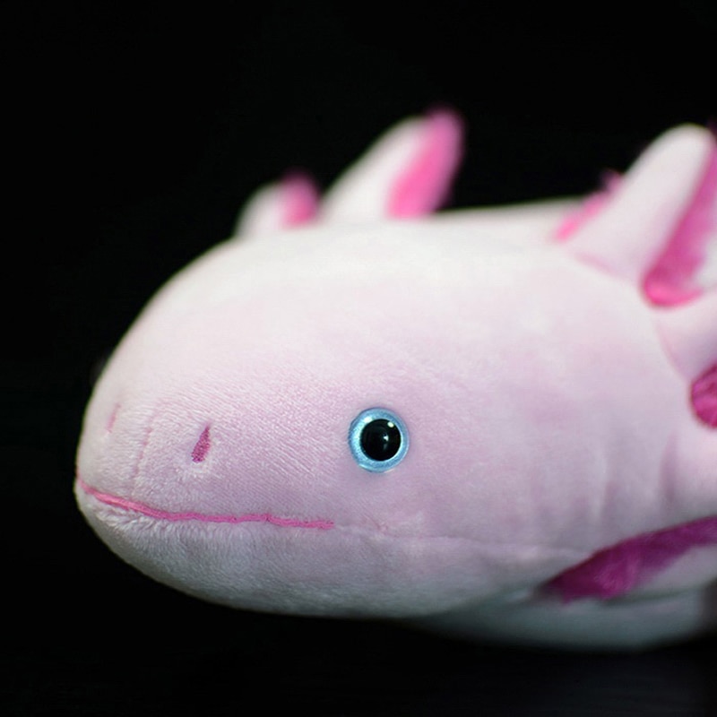 Cute Cartoon Axolotl Plush Toy