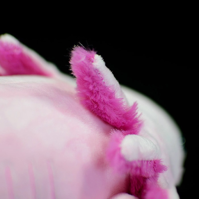 Cute Cartoon Axolotl Plush Toy