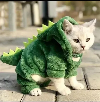 Cute Costume Cat Dinosaur Outfit