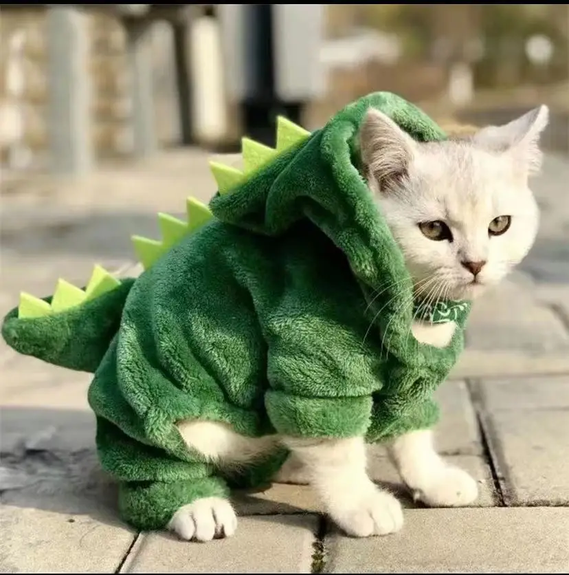 Cute Costume Cat Dinosaur Outfit Cute Costume Cat Dinosaur Outfit